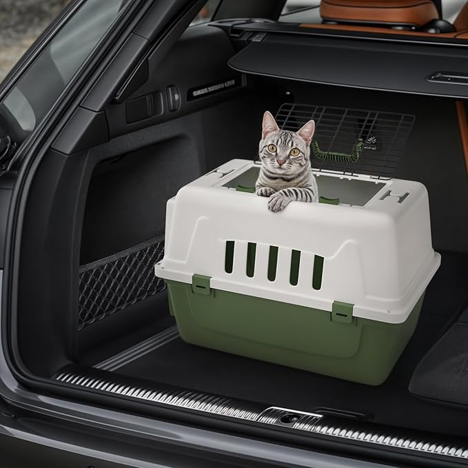 Magshion Pets Plastic Carrier, 22-Inch Hard-Sided 2-Door Top-Loading Kennel for Small Dogs and CatsLonger Traveling, Durable Handle, and 4 Sides Ventilation for Pet Up 22 lbs (White+Green)