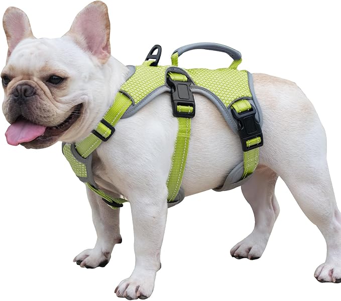 Huntboo Escape Proof Dog Harness, Escape Artist Harness, Reflective Dog Harness with Handle, Durable,Adjustable Vest for Small Medium Large Dogs Walking, Training, and Running Gear(Green,M)