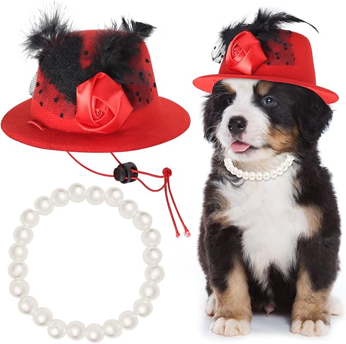 Yewong Pet Fascinators Hat Formal Top Costume Set Mesh Feather Fascinator Veil Kentucky Derby with Pearl Collar for Christmas Weeding Photo Props Party (Red) (BH-YF0090)