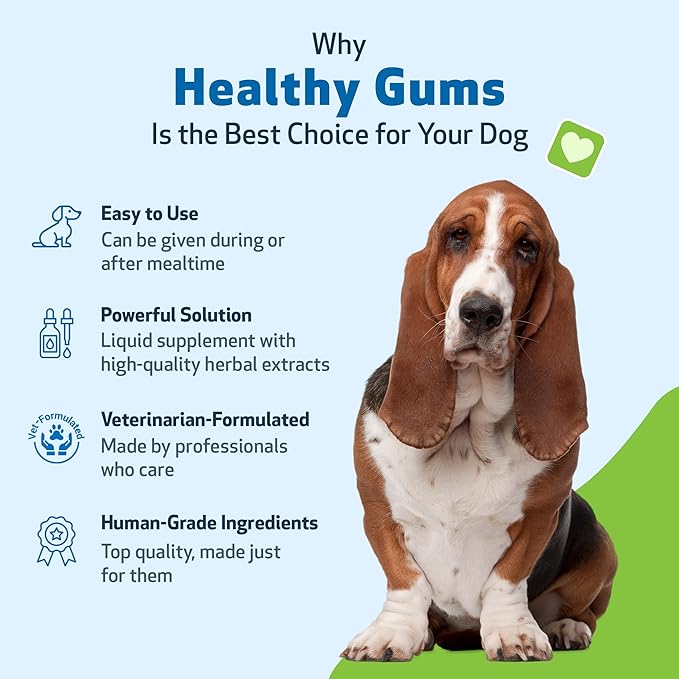 Pet Wellbeing Healthy Gums for Dogs - Gums & Dental Health, Oral Care, Healthy Breath, Coenzyme Q10, Zinc Oxide, Calendula, Marshmallow Root - Veterinarian-Formulated Holistic Topical 4 oz (118 ml)