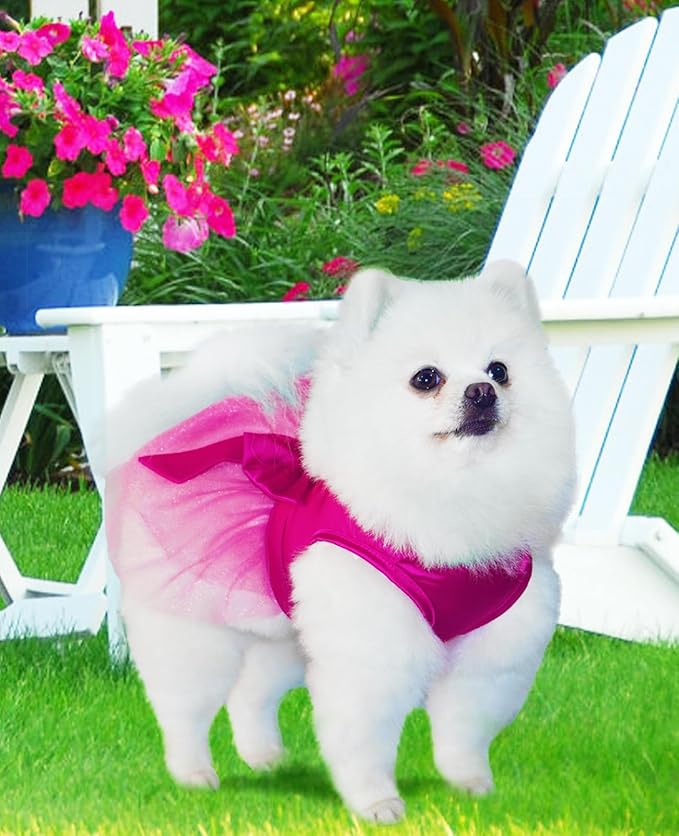 Summer Girl Dog Dress, Dog Silk Tulle Dress, Cute Princess Dogs Dresses with Bow, Lace Pet Birthday Party Outfit Puppy Tutu for Small Dogs, Fancy Puppy Clothes for Chihuahua Teacup Yorkie