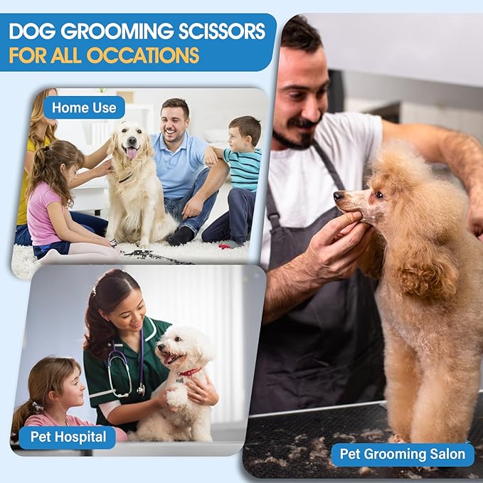 JASON Professional Dog Grooming Scissors Set - 6 in 1 Sharp Shears Set With 7" Thinning, Chunker, Straight, Curved Shears and Comb for Cat Pet, Rosegold