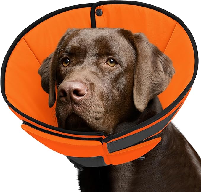 Queenmore Orange XL Soft Dog Cone, Post-Surgery Recovery Collar for Large Dogs, Adjustable, Breathable, Comfortable, Stop Licking, Wound Protection