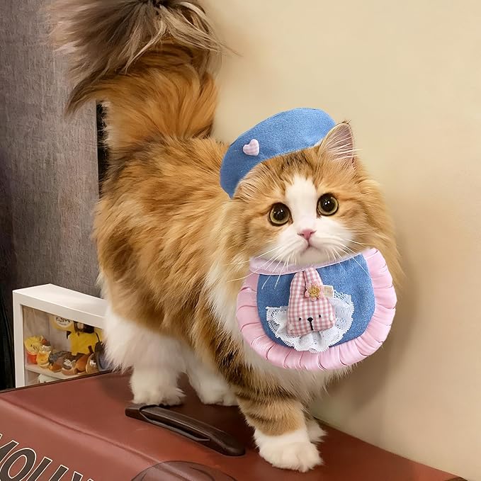 HOWWFALY Adorable Cat Princess Costume Blue Cat Beret with Little Heart & Lace Rabbit Bib Scarf Set, Adjustable Pet Costume for Halloween Christmas Birthday Parties
