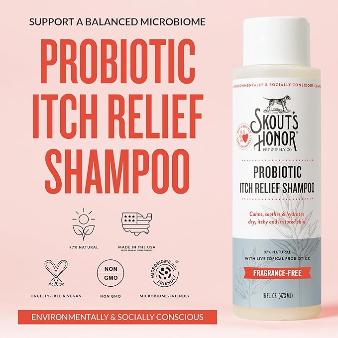 SKOUT'S HONOR Probiotic Itch Relief Shampoo for Pets - Non-Medicated, Fragrance-Free, Paraben & Sulfate-Free, with Avocado Oil & Omega 3's, 16 Fl Oz