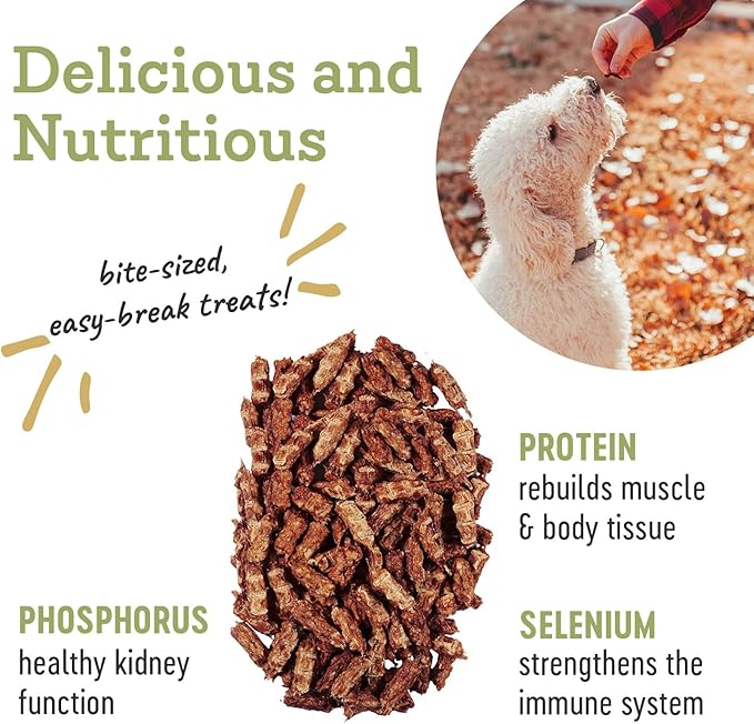 Farm Hounds - Duck Trainers - Premium Natural Jerky for Dogs - 100% Humanely Raised - Easy-Break - Great for Training & Treats - No Added Fillers - Made in USA - 4.5 oz - 1 Pack