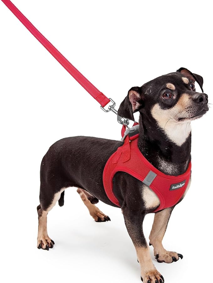 rabbitgoo Dog Harness Small Sized and Leash Set, Step in Soft Light Puppy Vest, Breathable Mesh Pet Harness, Reflective for Outdoor Safe Walking, Red XXXS