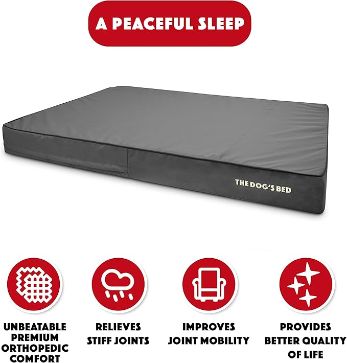 The Dog’s Bed Orthopedic Memory Foam Dog Bed, XXXL Grey & Black, Waterproof, Supportive Dog Bed with Replaceable Covers
