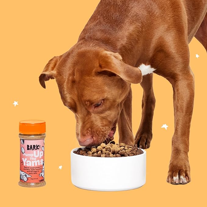 Barkbox - Pump Up The Yams - Dry Dog Food Topper with Superfood Sweet Potato, Single Ingredient - Meal Flavor Enhancer for Large & Small Breeds - 5oz