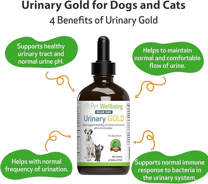 Pet Wellbeing Urinary Gold for Dogs - Supports Urinary Tract Health, Normal Frequency, Healthy Immune Response, Stoneroot, Hydrangea - Vet-Formulated Herbal Supplement 4 fl oz (118 ml)