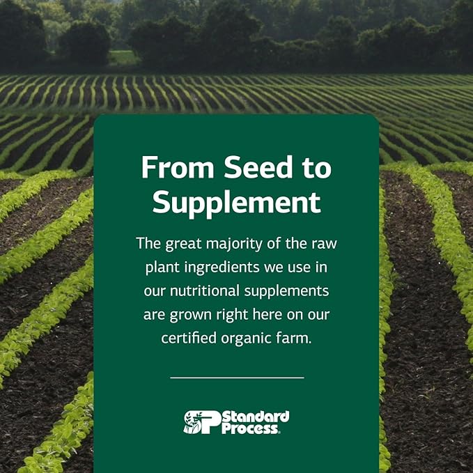 Standard Process Inc. VF Thymex for Pets - Cat & Dog Immune System Support Supplement - Thymus Supplement to Aid Canine & Feline Immune Health - Supplement with Vitamin C - 90 Tablets