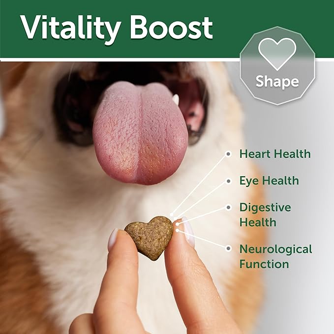 Nature's Protection Wet Dog Food Pouches for Small & Large Breed - High Protein, 24-Pack Soft Dog Food Toppers for Adult Light Coated Dogs (Superior Care - Tuna Fish, 2.46-oz)