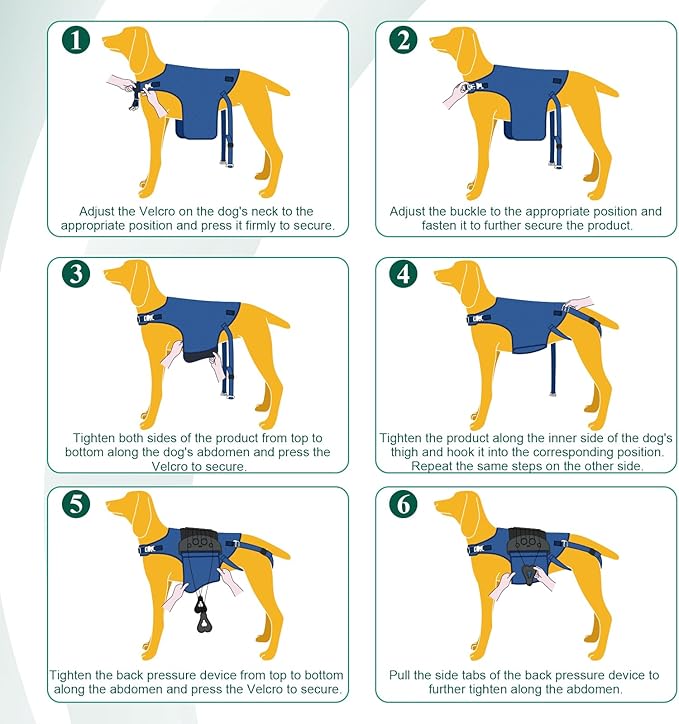 Dog Back Brace for IVDD, Arthritis, Slipped and Herniated Discs – Provides Back Support and Pain Relief, Stabilizes Spine for Surgical Recovery and Mobility, Dogs Back Disease Prevention(Blue,XL)