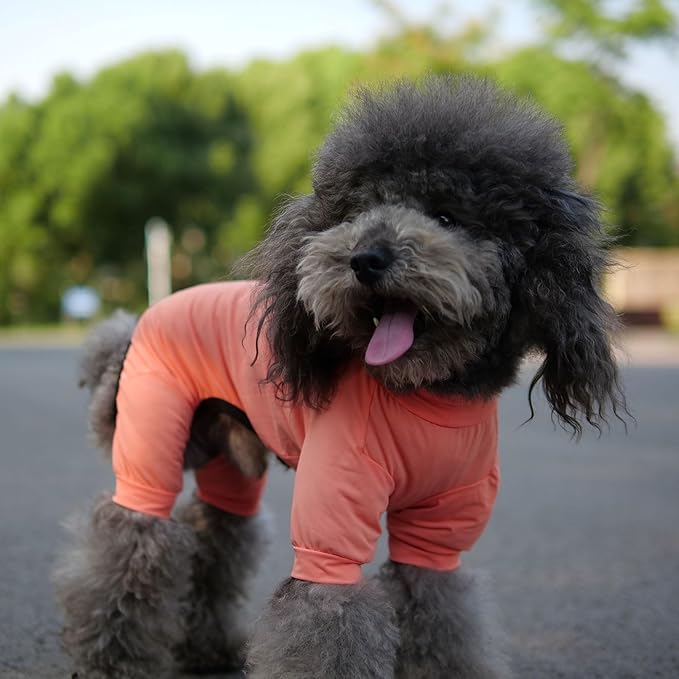 LoveLongLong Dog Jumpsuit with UV Protection and Quick-Dry Fabric for Spring Summer Pet Pajamas Lobster Pink 2XL