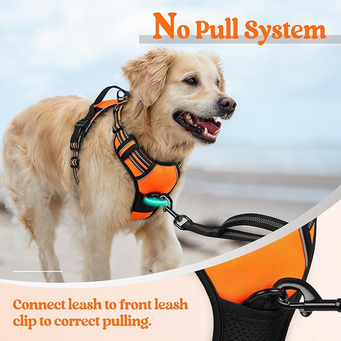 rabbitgoo Dog Harness No Pull with 2 Leash Clips, Adjustable Soft Padded, Reflective Oxford No Choke Pet Vest with Easy Control Handle for Medium Sized Dogs,Orange, M