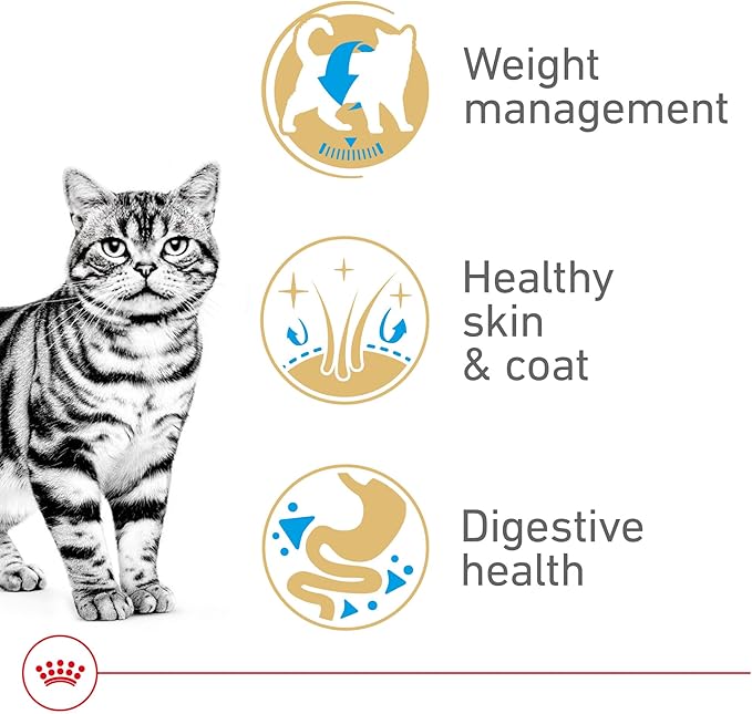 Royal Canin Feline Breed Nutrition American Shorthair Adult Dry Cat Food, 5.5 lb Bag