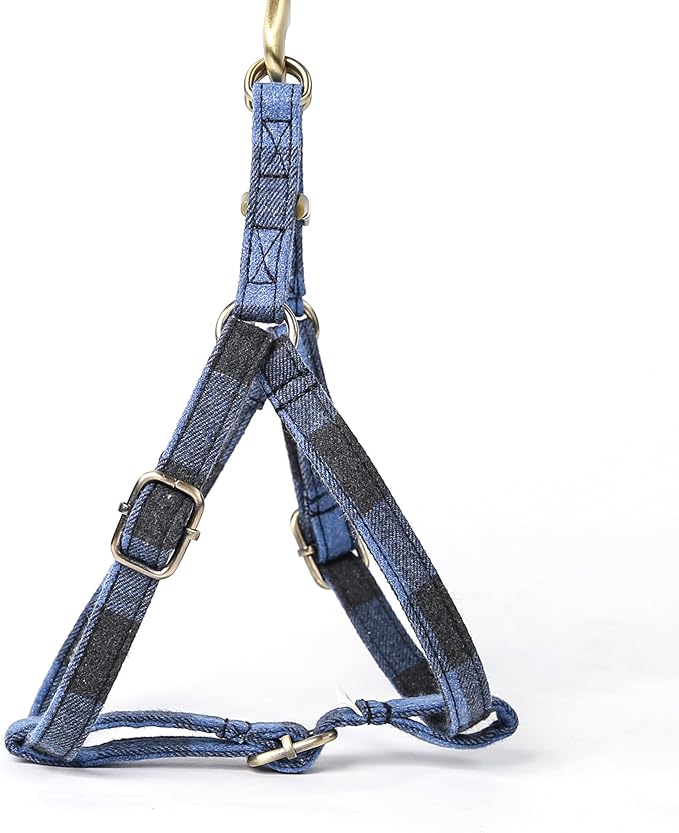 Angie and Allie Organic Cotton Personalized Step in Dog Harness,Custom Dog Halter Vests,Adjustable No Pull Canine Halter Harness for Small Medium Large Dogs