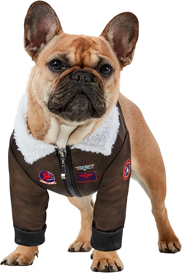 Top Gun: Maverick Pet Costume for For Dogs or Cats by Rubies, Large