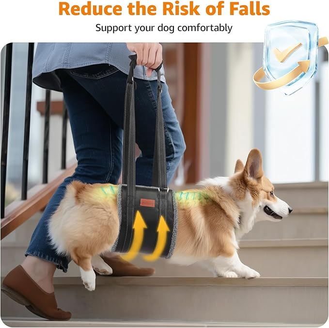 LOOBANI Portable Dog Sling for Back Legs, Hip Support Harness to Help Lift Dogs Rear for Canine Aid and Old K9 Cruciate Ligament Rehabilitation