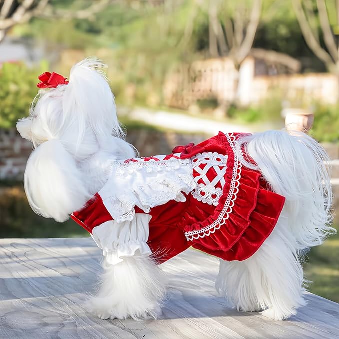 MengYu Princess Dresses for Small Dog Lolita Clothes for Cat Velvet Costume Pretty Lace Outfits Fall Costumes (Red, L)