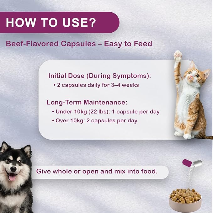 Natural UTI Treatment for Cats & Dogs – Antibiotic-Free Urinary Tract Infection Support Supplement – Bladder & Kidney Health – Incontinence Prevention – 30 Capsules