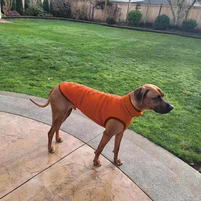 Sweatshirt for Vizsla/Weimaraner/Poodle/Dalmatian/German Dog, Reflective Sleeveless Warm Cotton Clothes for Big Dogs (Orange, Medium(Chest 23'', Back 20.5''))