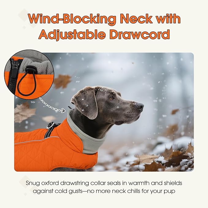 QBLEEV Dog Coat for Small Dogs, XS Dog Winter Coat Waterproof Jacket with Built-in Harness, Puppy Cold Weather Coats Reflective Vest with Zipper, Windproof Warm Fleece Dogs Snowsuit, Blaze Orange