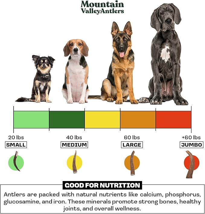Mountain Valley Elk Antlers for Dogs - 100% Natural & Organic Chew for Aggressive Chewers, No Odor, No Mess, Long Lasting - Wild-Foraged Naturally Shed Antlers in USA - Grade A, Split Medium (1 Pack)