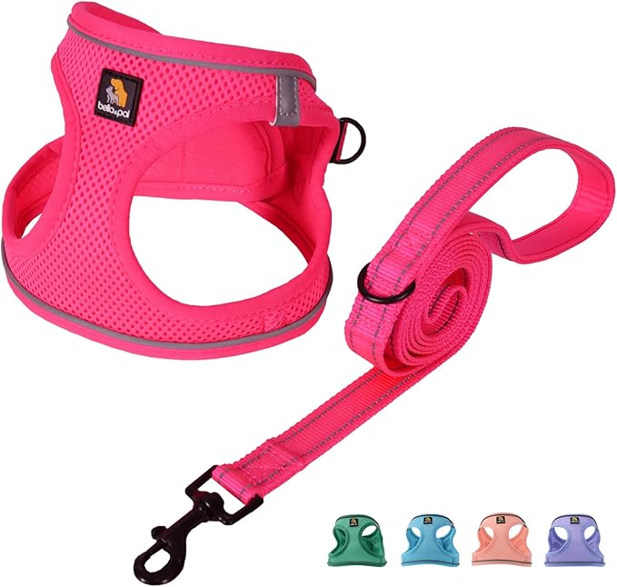 BELLA & PAL Step in Vest Harness for Small and Medium Dogs, No Pull Small Dog Harness with Leash Set, Comfortable Air Mesh Dog Vest Harness with Reflective Strip (Hot Pink, XXS)
