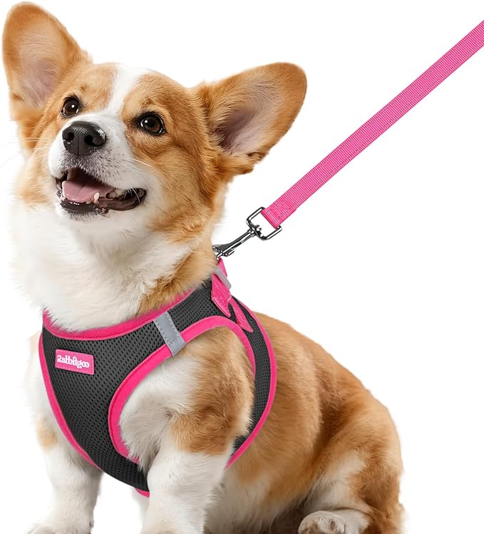 rabbitgoo Dog Harness Small Sized and Leash Set, Step-in Breathable Pet Harness, Soft Walking Reflective Puppy Vest for Small Dogs, Black & Rose Red, L