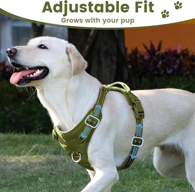 No Pull Dog Harness, Reflective Puppy Vest for Small Medium Large Sized Dog (Misty Green,XL)