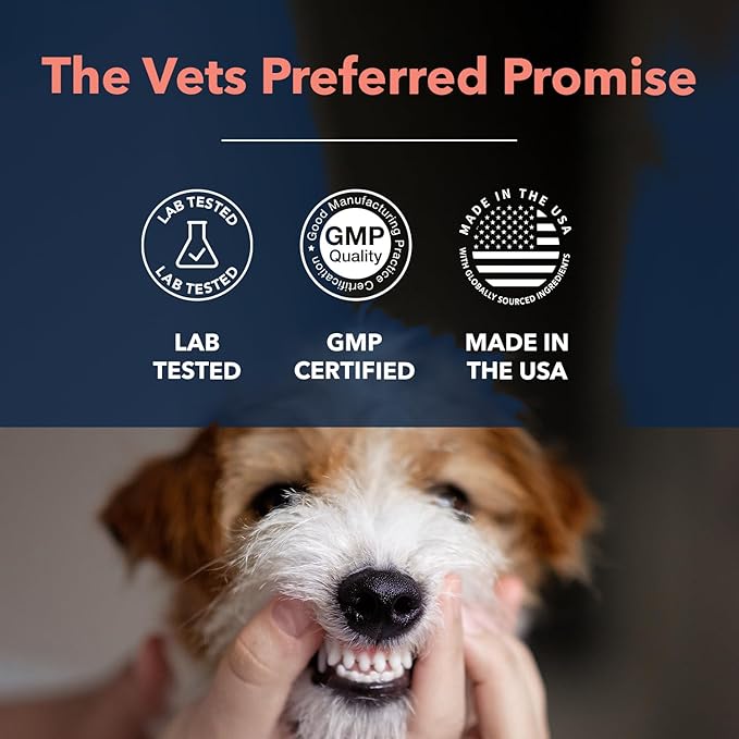 Vets Preferred Oral Care Water Additive for Dogs - Healthy Mouth Dog Breath Freshener Mouthwash - Fights Bad Breath, Removes Plaque and Tartar - Prevents Gum Disease - Mild Mint Flavor