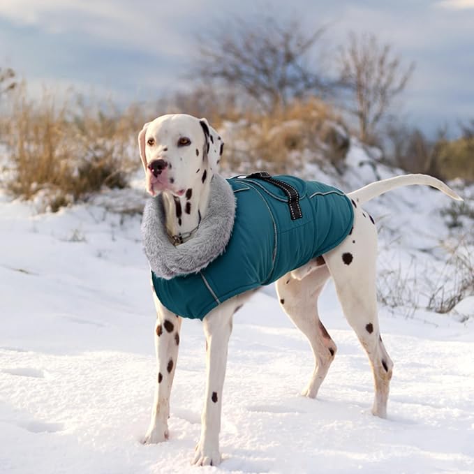 Lelepet Warm Dog Coat Reflective Fleece Vest Waterproof Dog Jacket with Adjustable Buckle Hook & Loop Windproof Cold Weather Coats for Small Medium Large Dogs, Dark Green, M