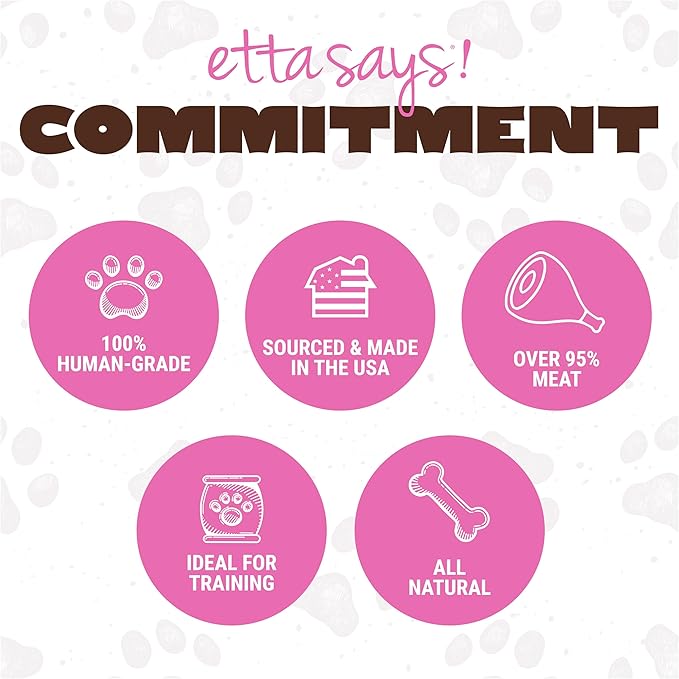 etta says! Big Yumm Sticks - Real Meat Pork Dog Jerky Treats - Human Grade - Made in The USA (12 Count Pack of 1)