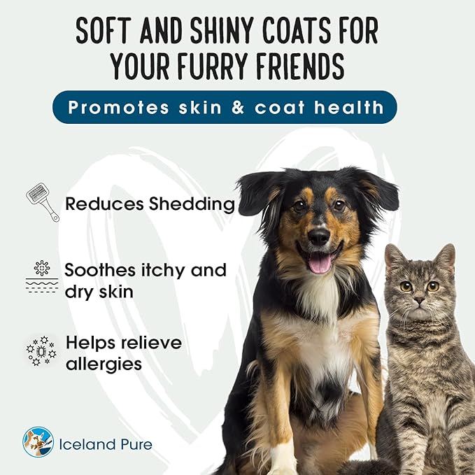 Salmon Oil | Unscented Pharmaceutical Grade | 1118mg of Omega-3 per teaspoon | Liquid Food Supplement For Dogs and Cats | BPA-Free Brushed Aluminum Epoxy coated Bottle with Pump 17oz