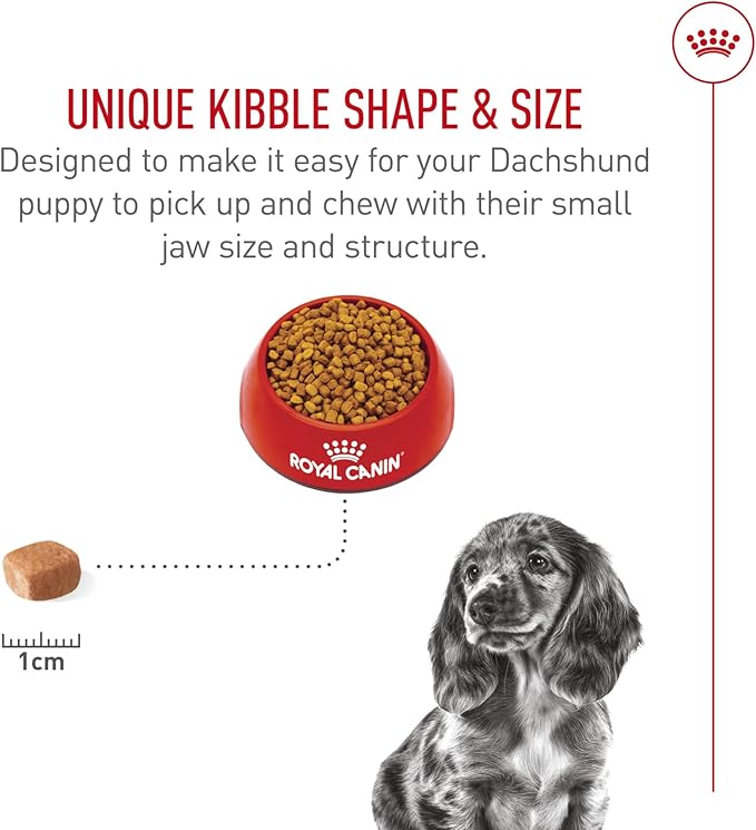 Royal Canin Breed Health Nutrition Dachshund Puppy Dry Dog Food, 2.5 lb Bag