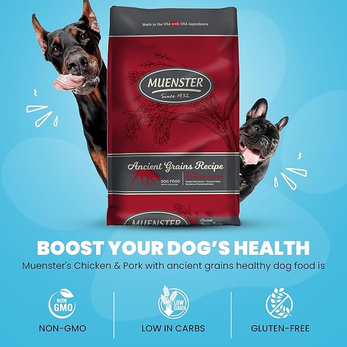 Muenster Ancient Grains Chicken & Pork Dry Dog Food, 22lb - Gluten-Free, High Protein, Digestive Support