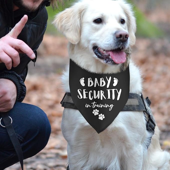 Baby Security in Training Black Dog Bandana Pet Scarf Pregnancy Announcement for Dogs Accessories Lovers Reveal Ideas