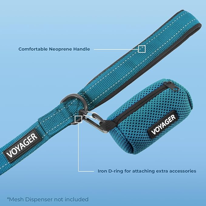 Voyager Reflective Dog Leash Collar Set with Neoprene Handle Supports Small, Medium, and Large Breed Puppies, Cute and Heavy Duty for Walking, Running, and Training - Turquoise, S