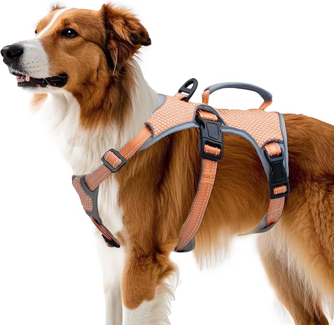 Huntboo Escape Proof Dog Harness, Escape Artist Harness, Reflective Dog Harness with Handle, Durable,Adjustable Vest for Small Medium Large Dogs Walking, Training,and Running Gear(Orange,XL)