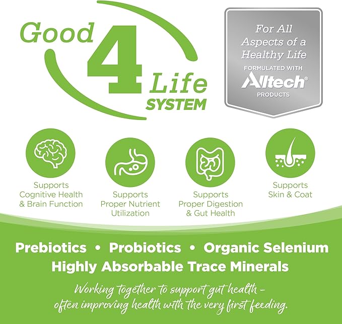 NutriSource Grain Free Dry Dog Food for Weight Management, Turkey, Whitefish Meal and Menhaden Fish Meal, 12LB