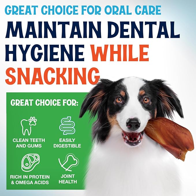 Whole Pig Ears for Dogs Large - 200 Pack Long Lasting Dog Chews – One Ingredient Delicious All Natural Flavor – Easy to Digest Dog Treats for Large Dogs - Great for Teeth and Gums