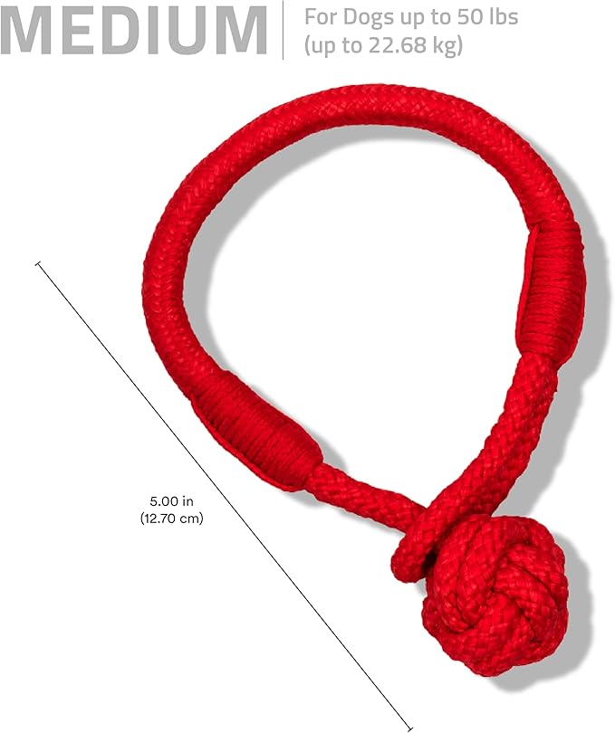 Playology Dog Toys | Puppy Toy Tough Tug Knot for Tug of War Designed for Young & Active Dogs | Medium Beef Scented Toy Made from Non Toxic Materials