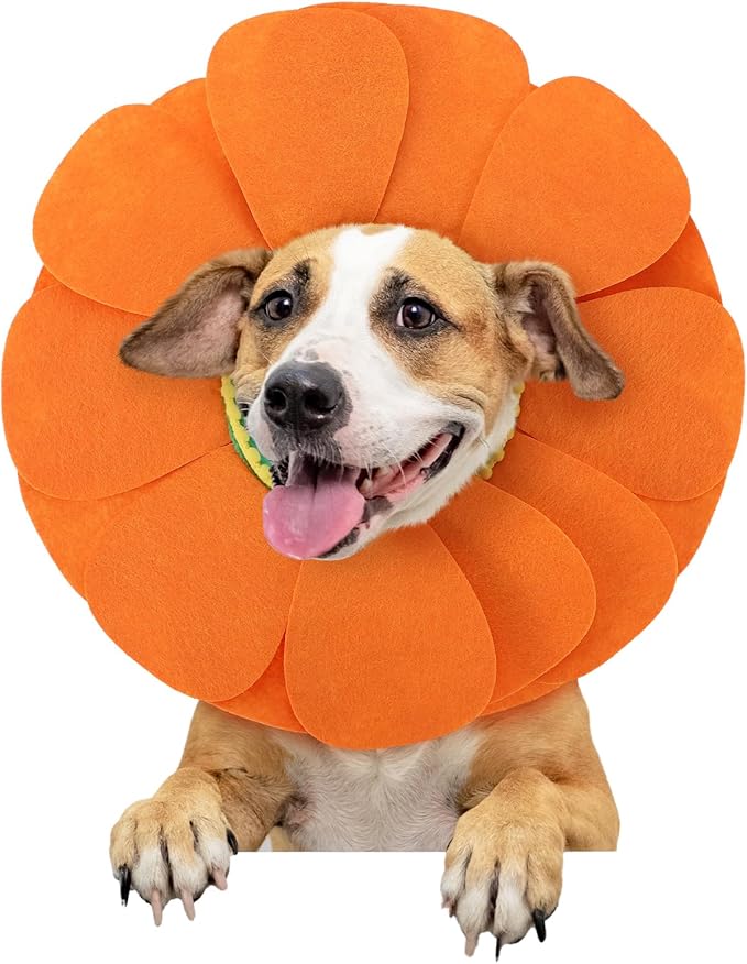Pet Sun Flower Hat Halloween Pet Sunflower Costume for Dog Cat Puppy Dress up Collar Costume Hat Outfit Cosplay Halloween(Small)