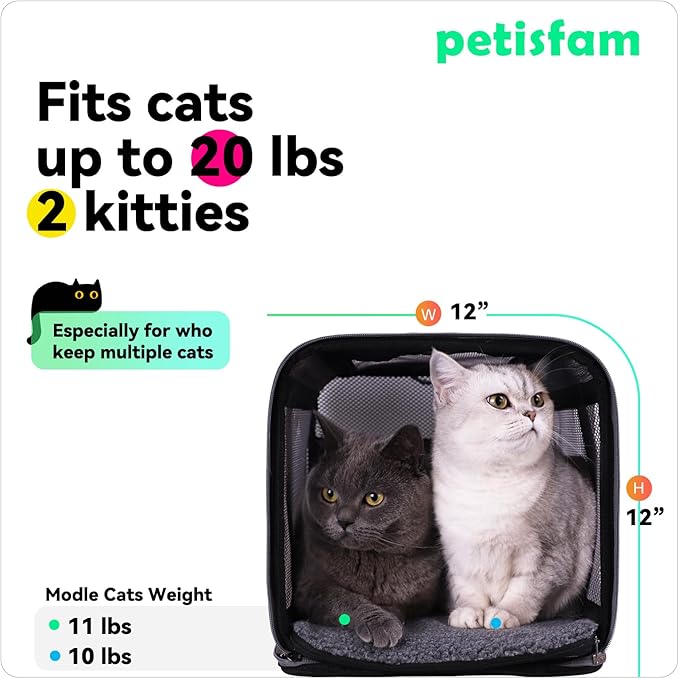 petisfam Easy Load Pet Carrier Bag for Medium and Large Cats with Durable Double-Thickness Fabric and Stable Structure. Black w/Green Trim, L