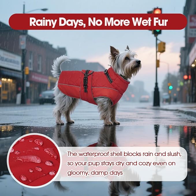 QBLEEV Warm Dog Jacket - Reflective, Adjustable Winter Coat with Turtleneck for Cold Weather, Waterproof Fleece Snowsuit for Small, Medium, Large Dogs