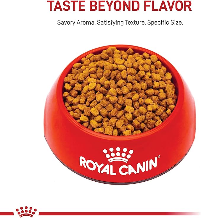 Royal Canin Breed Health Nutrition Dachshund Puppy Dry Dog Food, 2.5 lb Bag