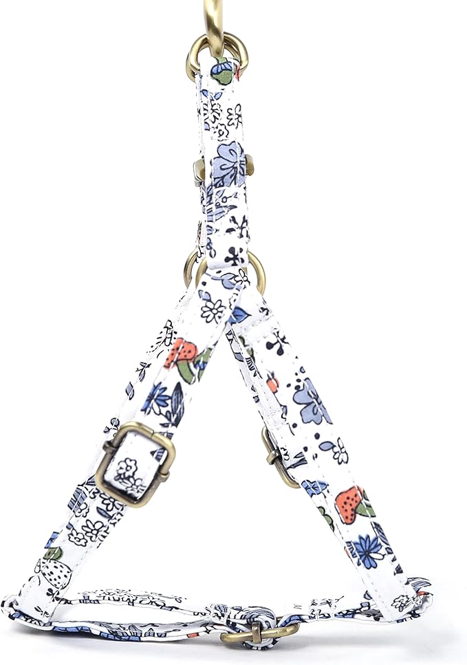 Angie and Allie Organic Cotton Personalized Step in Dog Harness,Custom Dog Halter Vests,Adjustable No Pull Canine Halter Harness for Small Medium Large Dogs