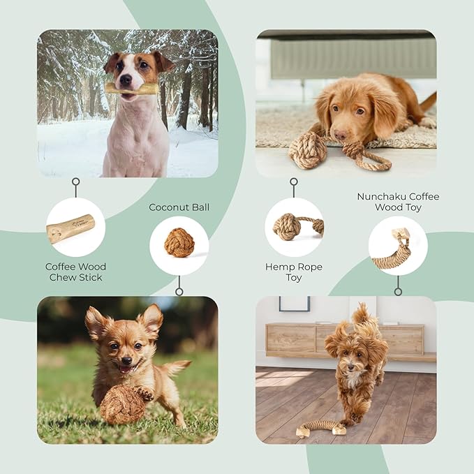Alfred & Beebee Eco-Friendly Natural Coffee Wood Dog Chew Toy 4 Pack - for Regular Chewers - Dog Dental Chew - Small Medium - Coconut Ball, Rope Stick S - M