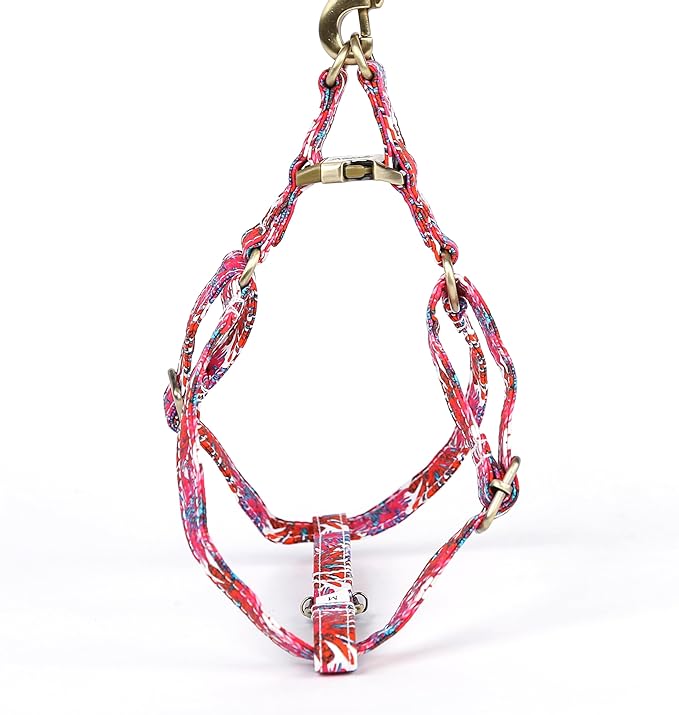 Angie and Allie Organic Cotton Personalized Step in Dog Harness,Custom Dog Halter Vests,Adjustable No Pull Canine Halter Harness for Small Medium Large Dogs